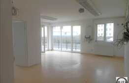 Apartament pretabil pentru activitati mixte! 2 camere, 60 mp, zona Florilor!