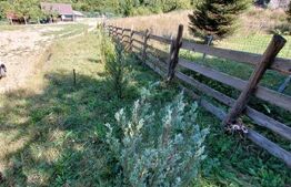 Teren cu autorizatie de constructie, 1130 mp in Muntele Rece!