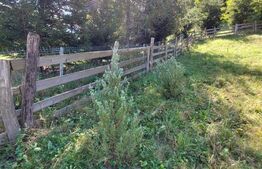 Teren cu autorizatie de constructie, 1130 mp in Muntele Rece!