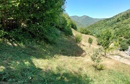 Teren cu autorizatie de constructie, 1130 mp in Muntele Rece!