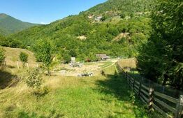 Teren cu autorizatie de constructie, 1130 mp in Muntele Rece!