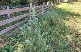 Teren cu autorizatie de constructie, 1130 mp in Muntele Rece!