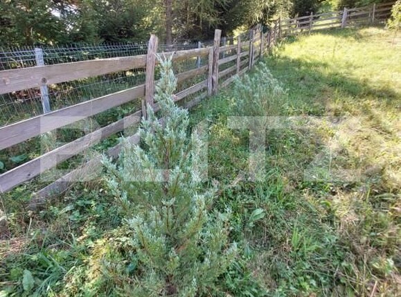 Teren de vânzare Gilău - 155703TV | BLITZ Cluj-Napoca | Poza7