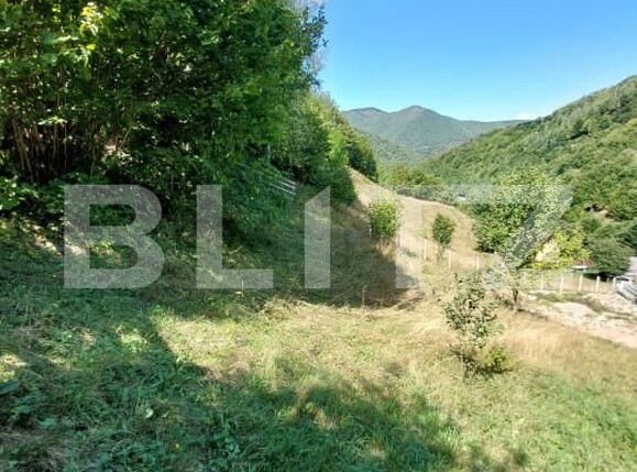 Teren de vânzare Gilău - 155703TV | BLITZ Cluj-Napoca | Poza2