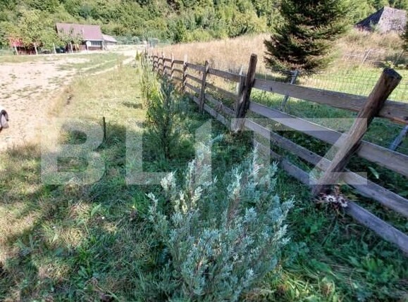 Teren de vânzare Gilău - 155703TV | BLITZ Cluj-Napoca | Poza8