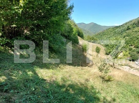 Teren de vânzare Gilău - 155703TV | BLITZ Cluj-Napoca | Poza5