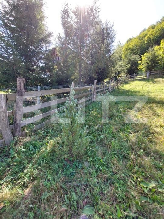 Teren de vânzare Gilău - 155703TV | BLITZ Cluj-Napoca | Poza9