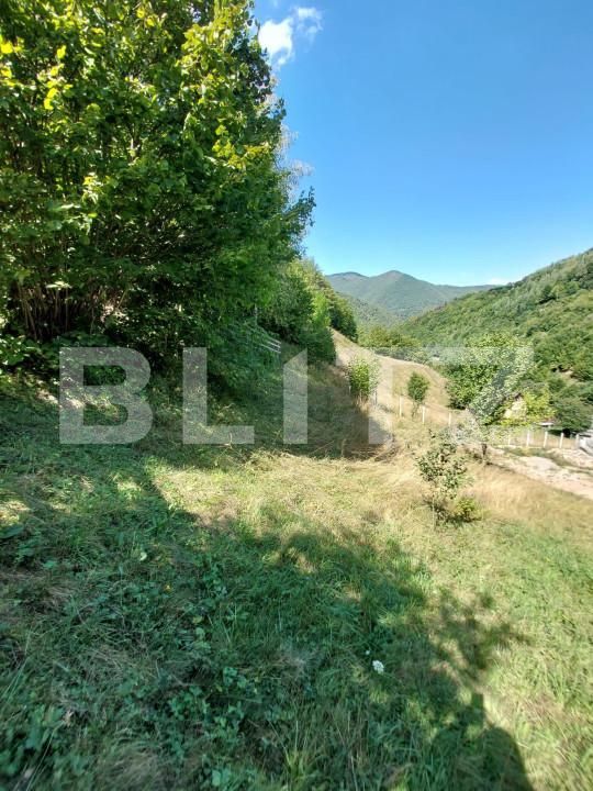 Teren de vânzare Gilău - 155703TV | BLITZ Cluj-Napoca | Poza5