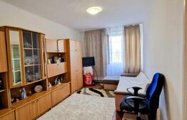 Apartament 2 camere, mobilat, Jucu de Sus ! 
