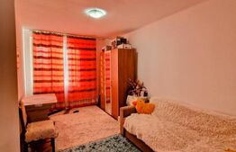 Apartament 2 camere, mobilat, Jucu de Sus ! 