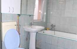 2 camere, 40 mp, imobil nou, mobilat modern, zona strazii Constantin Brancusi