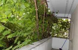 Apartament cu 2 camere, 60 mp, decomandat, parcare, zona strazii Nicolae Titulescu