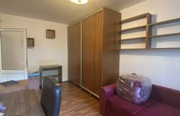 Garsoniera, 25 mp, recent renovata, zona Marasti 