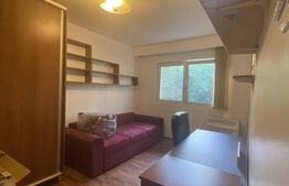 Garsoniera, 25 mp, recent renovata, zona Marasti 