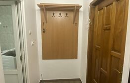 Garsoniera, 25 mp, recent renovata, zona Marasti 