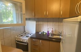 Garsoniera, 25 mp, recent renovata, zona Marasti 