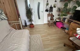 De vanzare Garsoniera in Rasnov