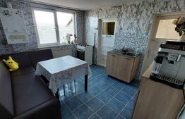 Casă individuală, 2 camere, 490 mp teren, zona străzii Maramureșului