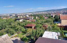 Casă individuală, 2 camere, 490 mp teren, zona străzii Maramureșului