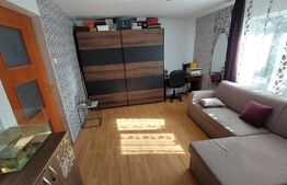 Casă individuală, 2 camere, 490 mp teren, zona străzii Maramureșului