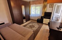 Apartament cochet, o camera, Zona Minerva, centrala