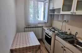 Apartament cochet, o camera, Zona Minerva, centrala