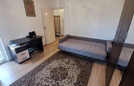 Apartament cochet, o camera, Zona Minerva, centrala