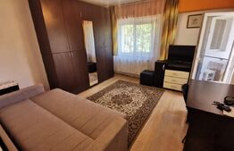 Apartament cochet, o camera, Zona Minerva, centrala