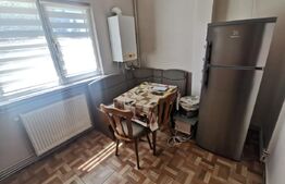 Apartament 1 camera, PET FRIENDLY, zona Peny Manastur