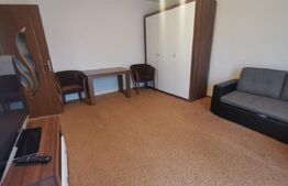 Apartament 1 camera, PET FRIENDLY, zona Peny Manastur
