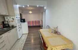 Apartament 2 camere, 45 mp, zona strazii Florilor