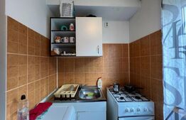 Garsoniera, 18mp, zona Manastur