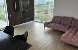 DUPLEX DE VANZARE IN DEZMIR