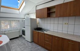 Apartament 1 camera, 35 mp, petfriendly, zona Florilor 