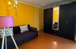 Apartament 1 camera, 35 mp, petfriendly, zona Florilor 