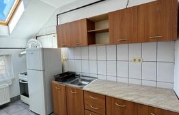 Apartament 1 camera, 35 mp, petfriendly, zona Florilor 
