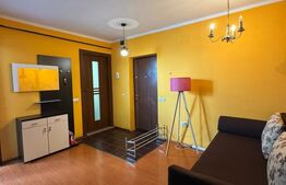 Apartament 1 camera, 35 mp, petfriendly, zona Florilor 