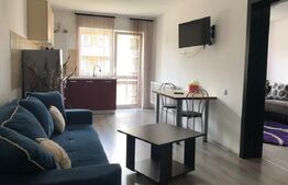 Studio spațios cu loc de parcare în Subcetate City