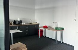 Birou clasa A, 166 mp, terasa de 50 mp, zona Marasti