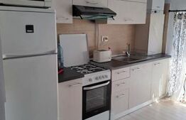 Apartament 2 camere, Schiller Residence 