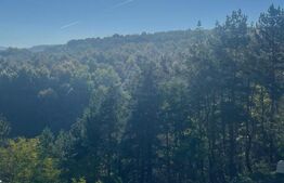 Duplex panoramic ! 110 mp , 250 teren,  expunere sudica ! 