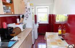 1 camera, 42 mp, decomandat, mobilat modern, zona Kaufland