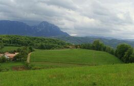 Teren superb - Poiana  Marului - Panorama Bucegi, Piatra Craiului - 11603mp