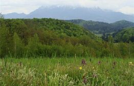 Teren superb - Poiana  Marului - Panorama Bucegi, Piatra Craiului - 11603mp