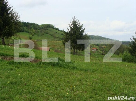 Teren de vânzare Poiana Marului - 156110TV | BLITZ Brașov | Poza1