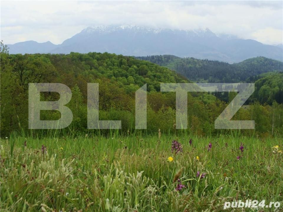 Teren de vânzare Poiana Marului - 156110TV | BLITZ Brașov | Poza2
