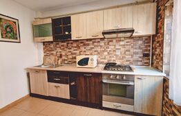 Apartament semidecomandat, 2 camere, 42mp, zona Stejarului