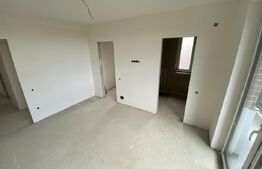 Duplex 4 camere, 120mp utili si 250mp teren, in Dezmir