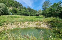 Teren pe DN1 in apropiere de Brasov - Oportunitate - 3482mp