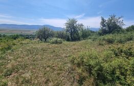 Teren in Vulcan pentru casa de vacanta - panorama catre Muntii Bucegi si Masivul